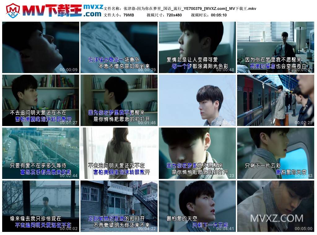 张津涤-因为你在梦里_国语_流行_YE700379